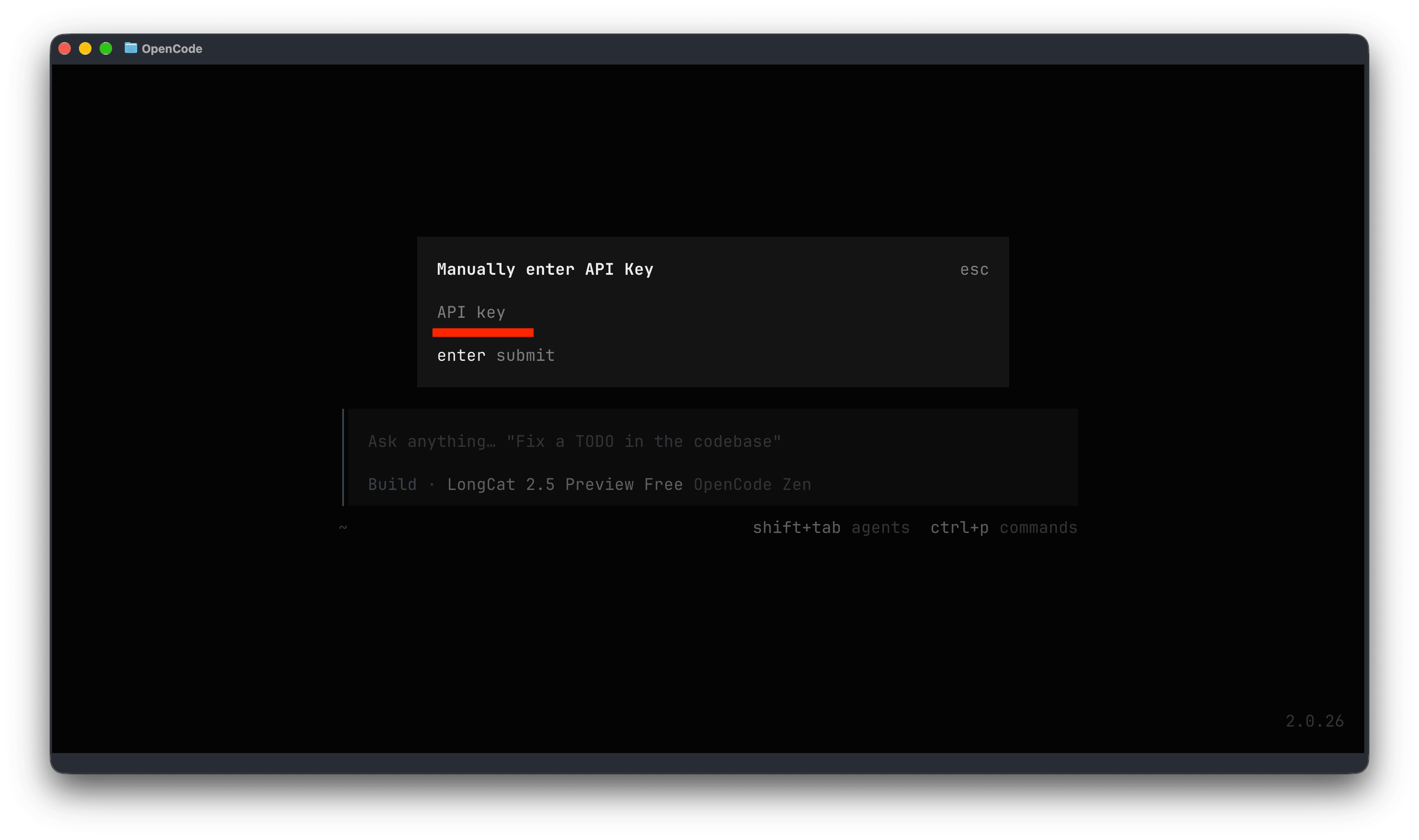 粘贴 API Key 的输入框